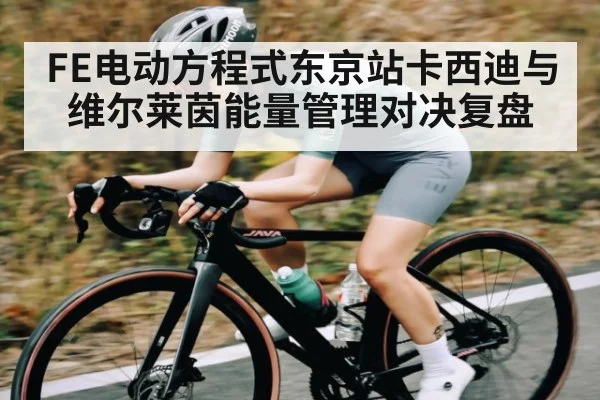FE电动方程式东京站卡西迪与维尔莱茵能量管理对决复盘